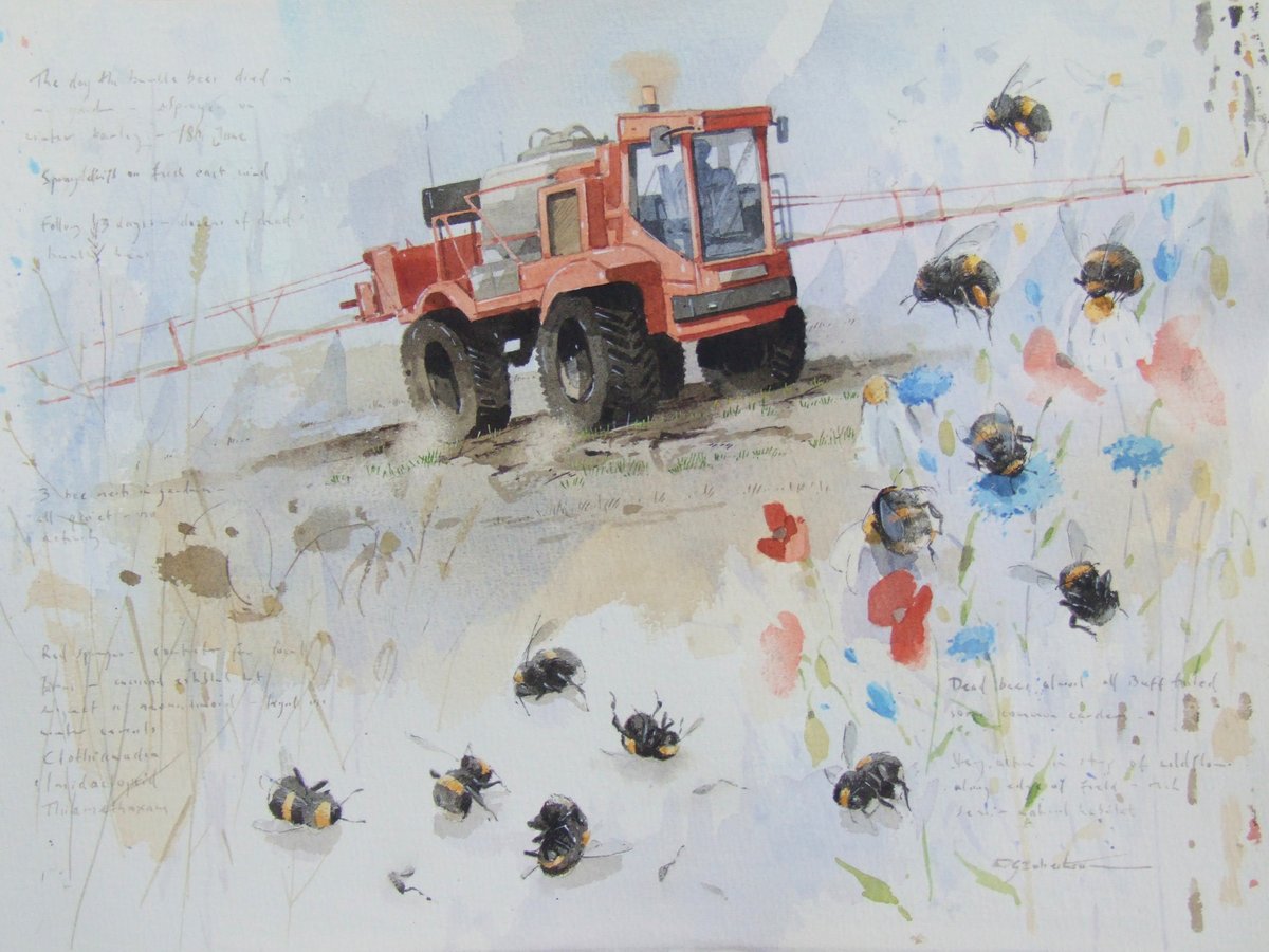 Artist Derek Robertson painted this after watching pesticide spraying in Fife. 'The pesticides drifted from an adjacent field into the adjoining wildflower meadows and killed all the bees.' This painting is in the RSW's Annual Exhibition at ow.ly/XTWn50Ek1Ky.