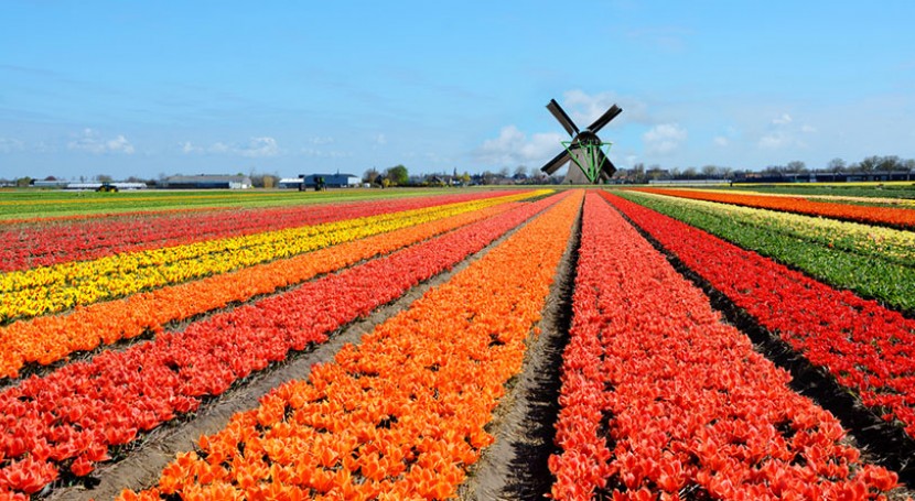 From fruit juice 🍎 to #green pharmaceuticals💊 &amp; #seawater🌊 to more #sustainable electronics, 🆕 innovative technologies are helping lay down the foundations for a #circulareconomy of #water – thanks to several 🇪🇺 funded research projects.

Read more👉 buff.ly/3g2qnEl