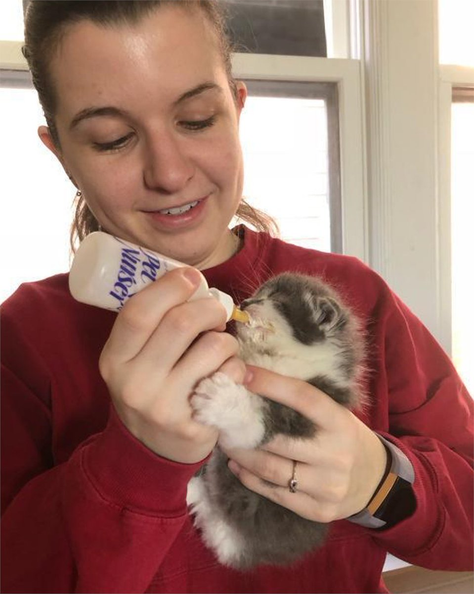 LSA_Tweets's tweet photo. #ShelterTales
Kate decided to volunteer with Shelter to Home in Wyandotte, MI because she wanted to find a way to give back to her community, and since she loves being around animals, she thought that this opportunity would be perfect for her! 

(📸 @lucky13k8 via Instagram) https://t.co/TdgQO7ezHU