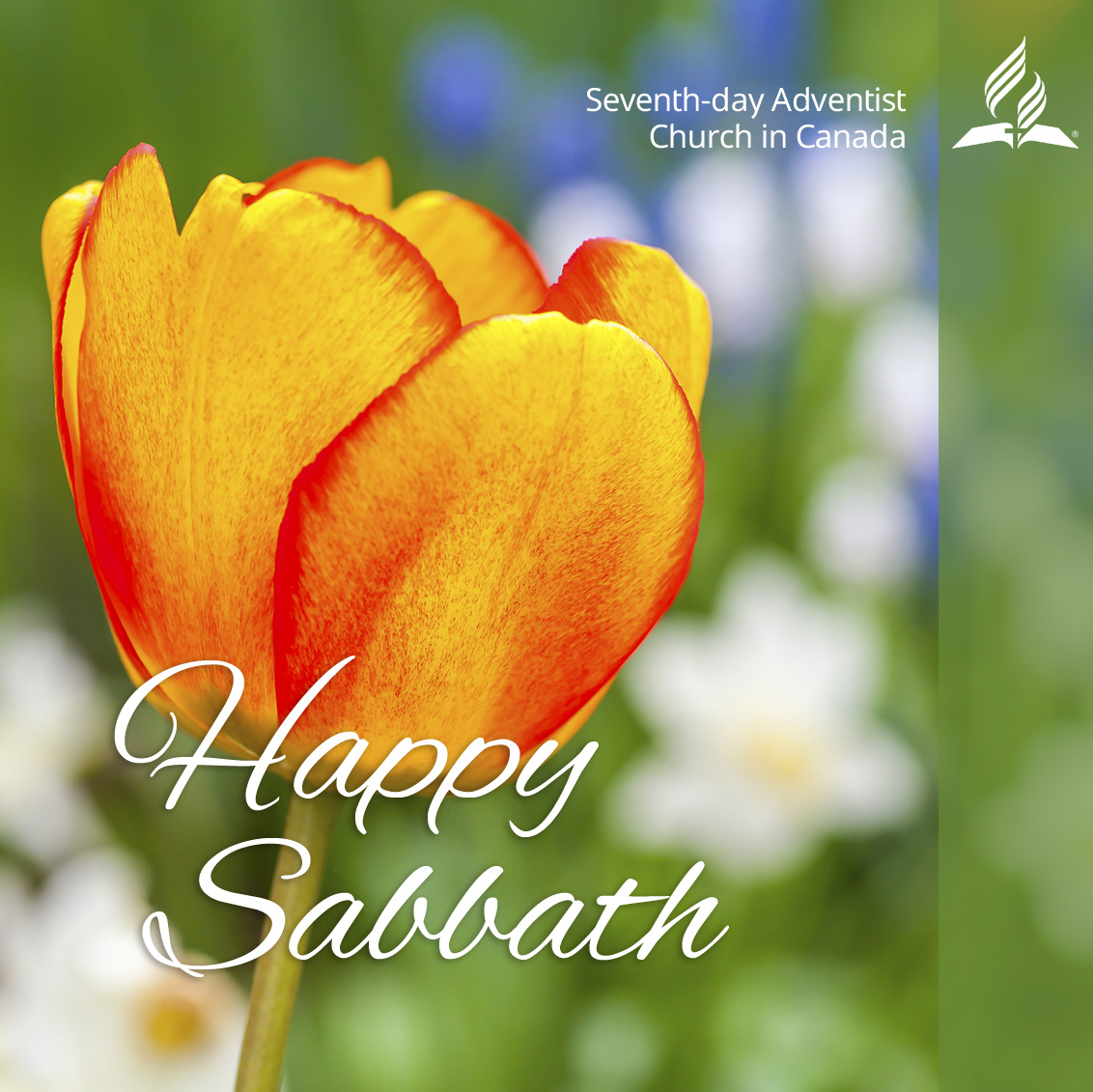 Adventist Messenger auf Twitter: „Happy Sabbath from Canadian ...