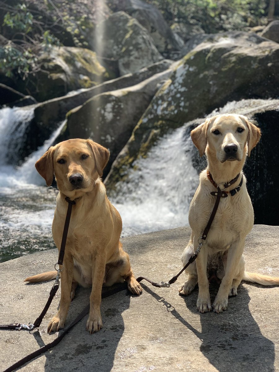 SherryPollex's tweet photo. Had an amazing hike the other day chasing waterfalls with my girls ๐ฅฐ Chemo #3 today ๐ช #getoutside https://t.co/ly9DZktfUN