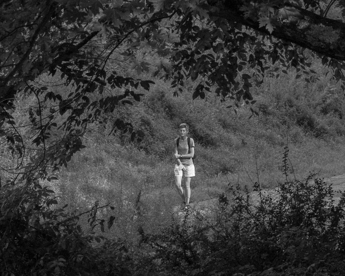 UMBC Library tweet media