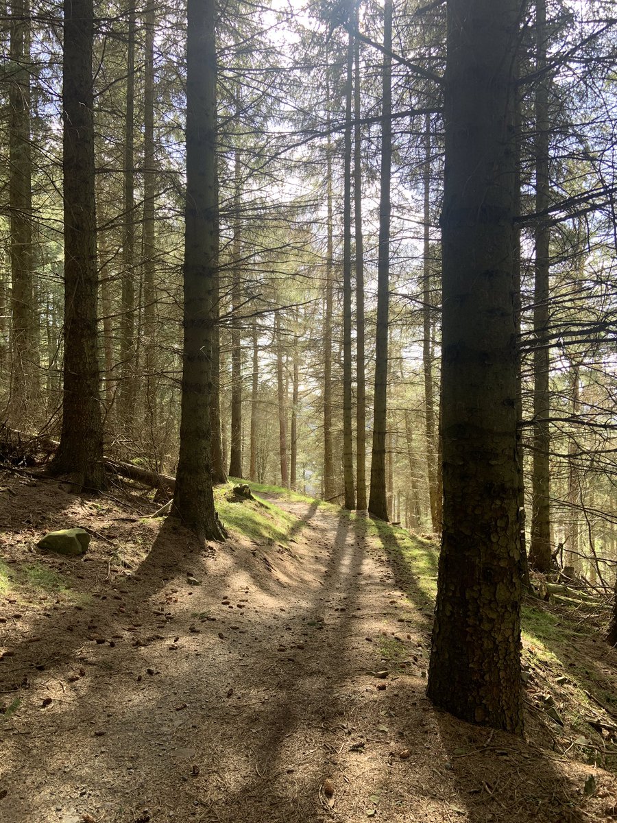DenisRobson2's tweet image. Quality afternoon again @GlentressForest for my weekly gravel adventure. Although I’ll always consider myself a beginner,this area offers riding at it’s best for me, for exercise, scenery and experience. @TweedGo @CycleBorders #lovenatureloveyourhealth
