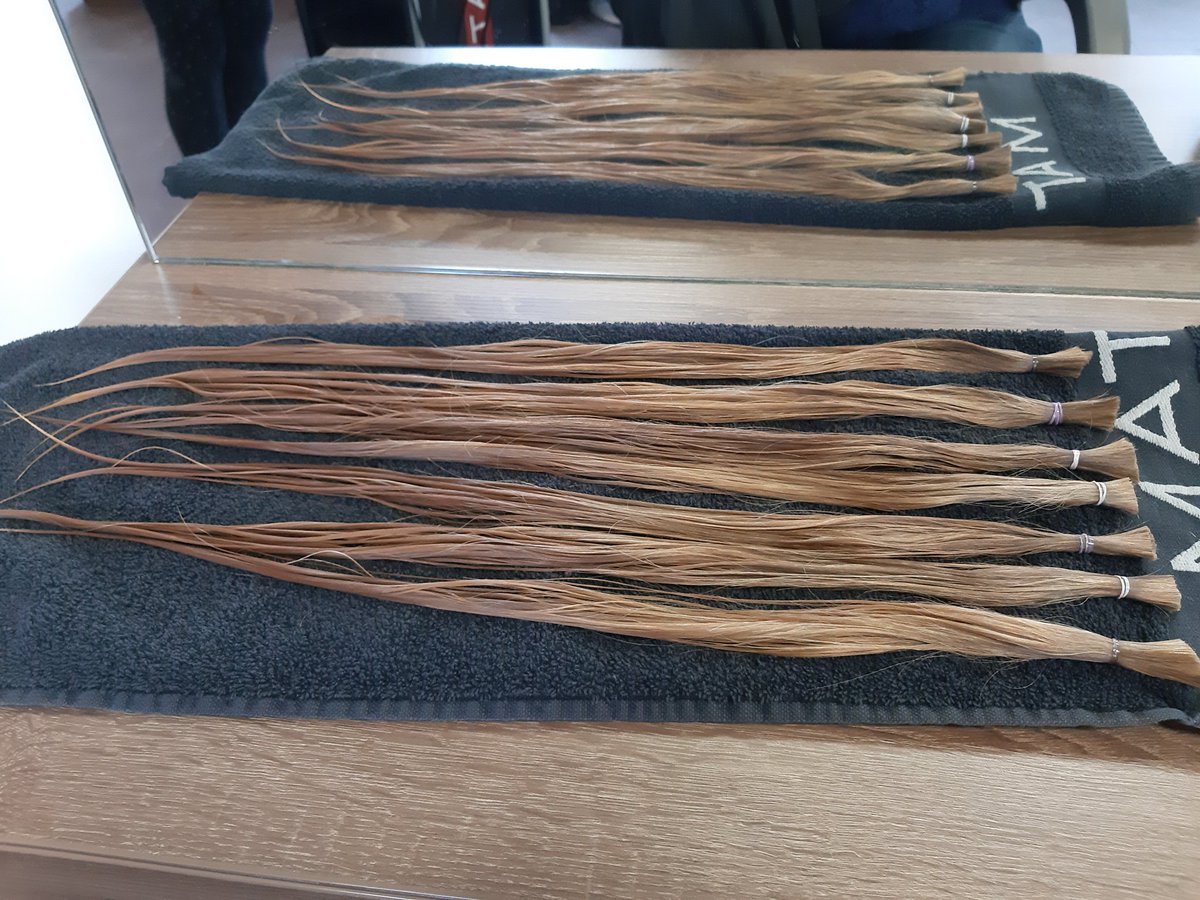 TaliDelabocha's tweet photo. Ein krebskrankes Kind kann sich demnächst über eine schöne Perücke freuen. Knapp 50cm lang 😊
#Haarspende https://t.co/05XxkO2Erg