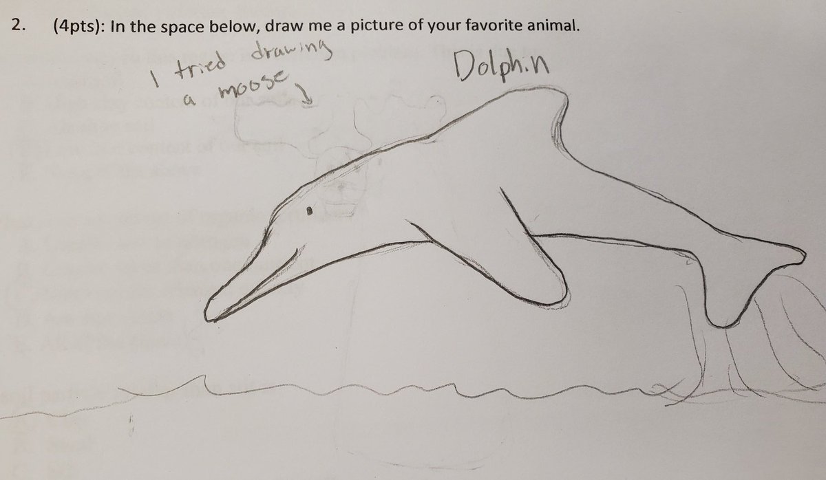 20: Ok, but this one looks like a dolphin trying to pretend everything is ok, but secretly having flashbacks to the Great Moose War. I& #39;m here for it.