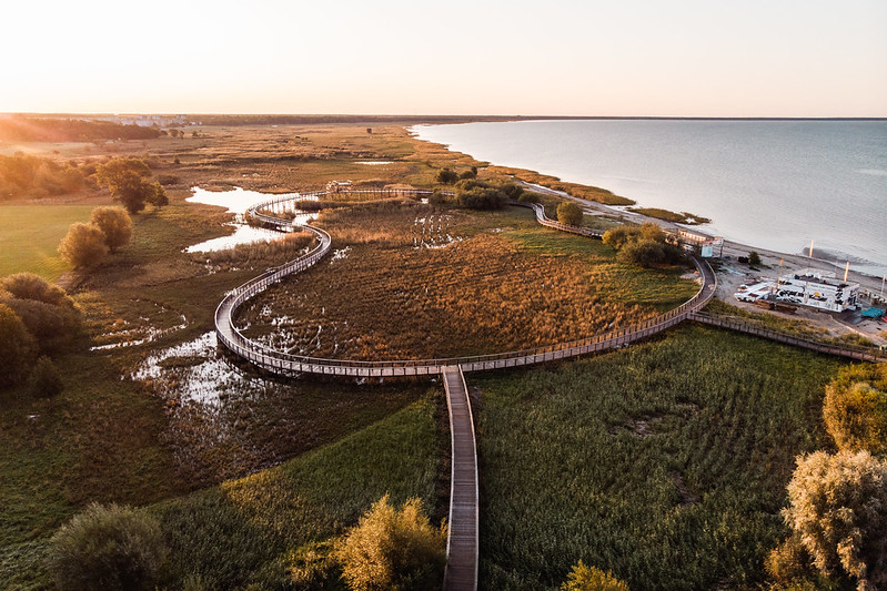 ☀️ Pärnu is known for beach and sun, but did you know they also have urban cows? They 'cut the grass' in the Natura 2000 protection area of coastal grasslands. Take a short hike on the boardwalk to greet them. <a href="/visitparnu/">Visit Pärnu</a> #greendestination #NaturallyCurious
📸: Priidu Saart