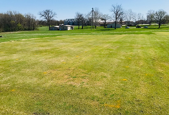 Lee Miller tweet media