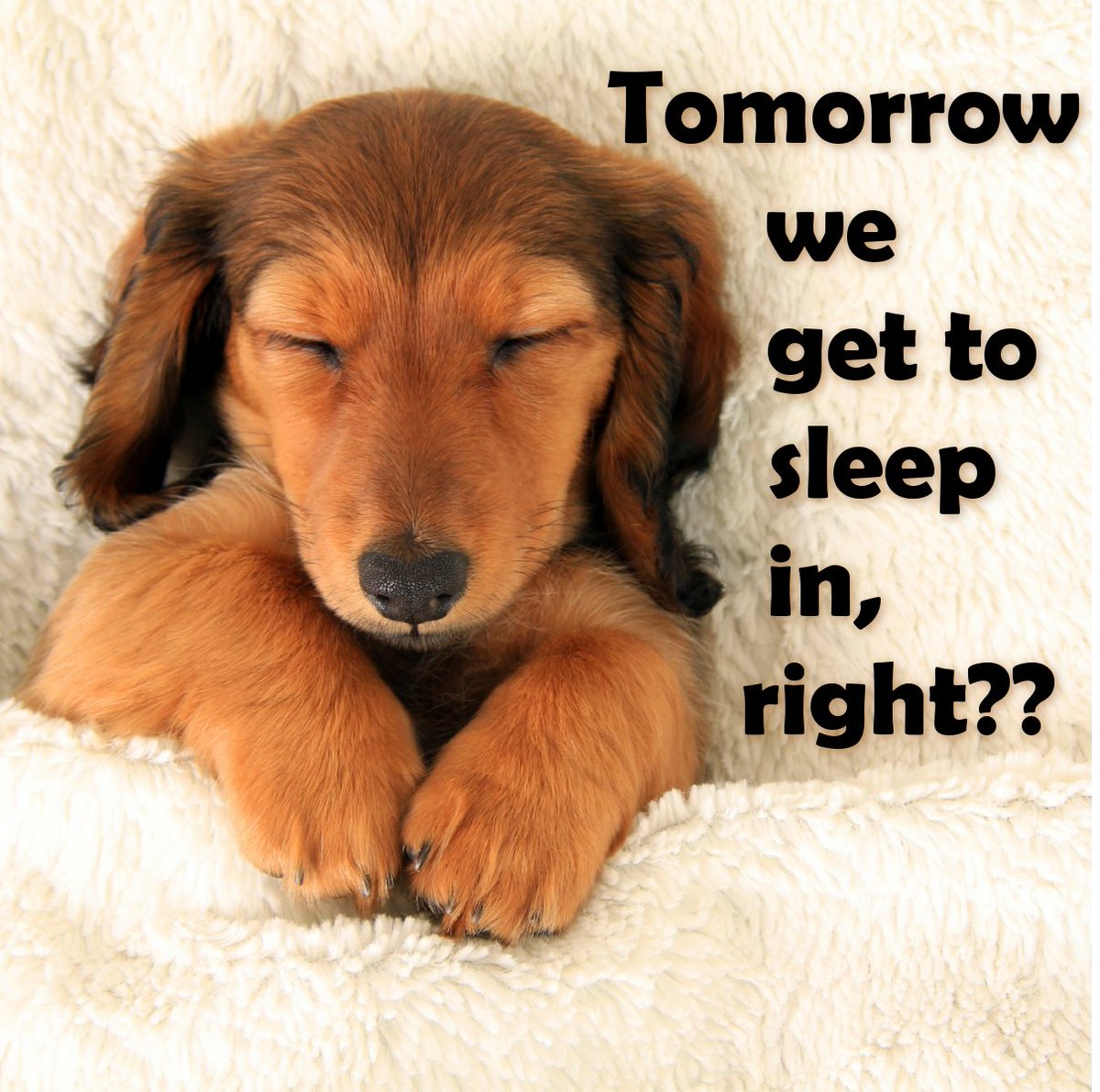 Happy Friday!🤗

We hope that you all have a great weekend!
🐶🐶🐶🐶🐶🐶
#jacksinc #jmipetsupply #happyfriday #petproducts #pets #pethumor