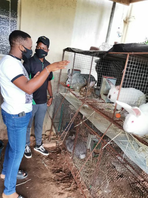 Davidzo Chizhengeni , Youth in Agriculture!