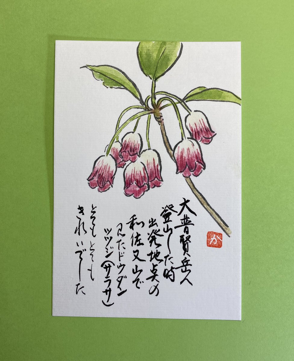 絵手紙 絵手紙
