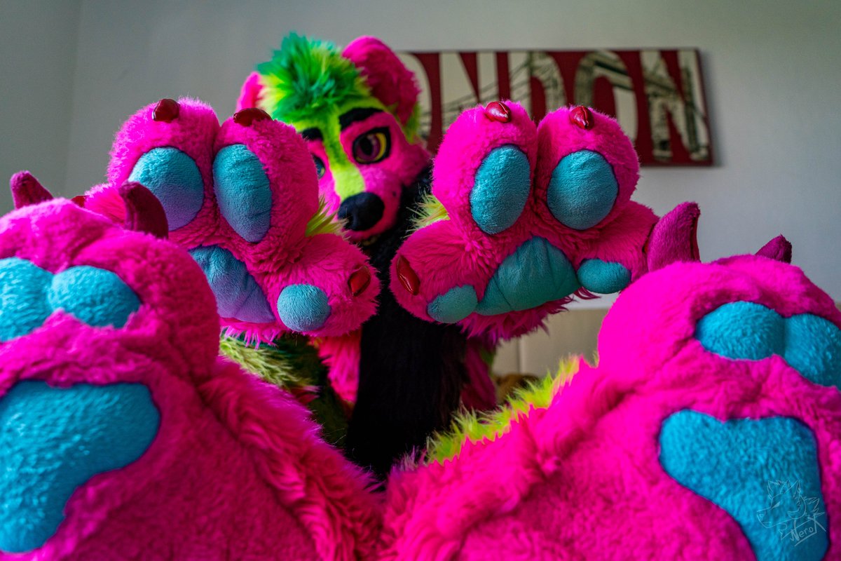 Nerox (@fur_nerox) on Twitter photo ALL MY PAWS ๐พ๐พ๐พ
~(And a <a href="/Tawiwolf/">Tawi</a> tail ๐ฅฐ๐)
๐ธ <a href="/SpaceWuffy/">SpaceWuffy</a>
โ๏ธ <a href="/SoulCreationsDE/">Soul Creations</a> & <a href="/KazuCreations/">KazuCreations</a> (Only feet paws)
#Furry #Fursuit #FursuitFriday #Paws ALL MY PAWS ๐พ๐พ๐พ
~(And a <a href="/Tawiwolf/">Tawi</a> tail ๐ฅฐ๐)
๐ธ <a href="/SpaceWuffy/">SpaceWuffy</a>
โ๏ธ <a href="/SoulCreationsDE/">Soul Creations</a> & <a href="/KazuCreations/">KazuCreations</a> (Only feet paws)
#Furry #Fursuit #FursuitFriday #Paws