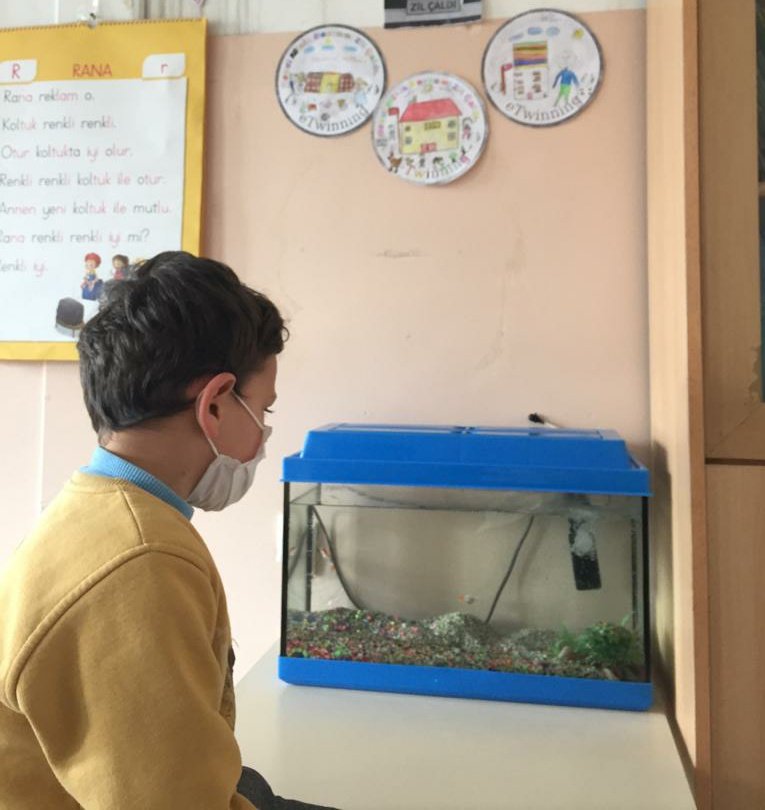bayramliokul's tweet photo. Sınıf öğretmenlerimizin de ortakları arasında yer aldığı "Haydi Minik Dostum! Zil Çaldı." adlı eTwinning projesi okulumuzda uygulanmaya başlandı. 
Farklı illerden projeye katılım sağlayan öğretmenlerimizi tebrik eder, kolaylıklar dileriz.
@tahirshn_mia 
@erdalkilinc27 https://t.co/MJJUnbSX00