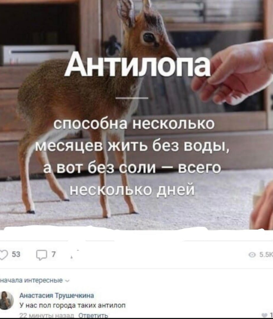 EyiElLcWQAIxl6-?format=jpg&name=medium