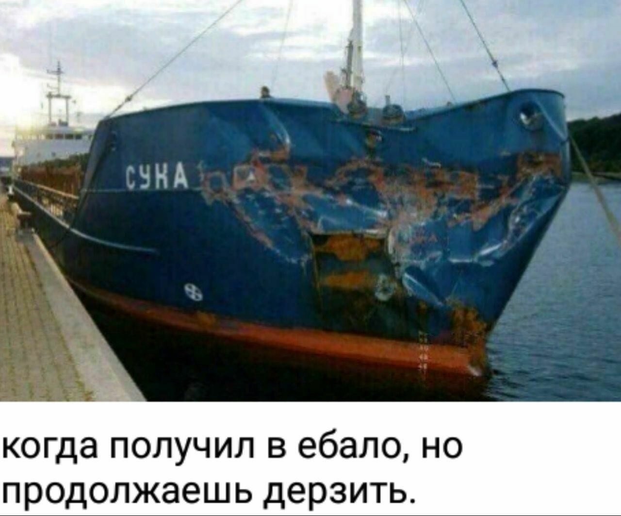 EyiEn2bXEAAWuK5?format=jpg&name=large