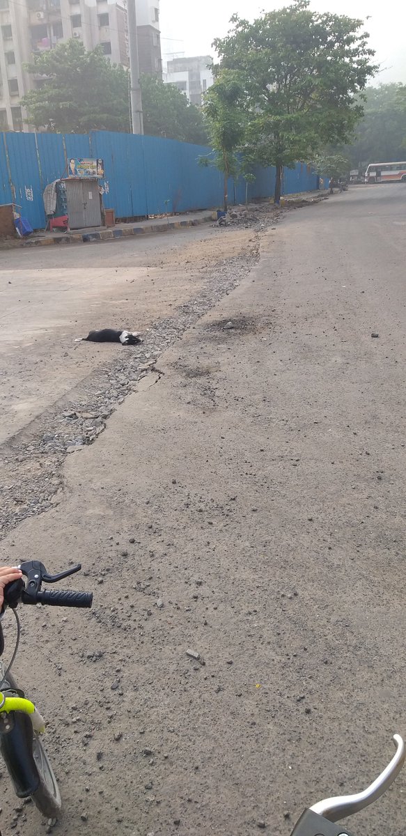 sainathchavan's tweet photo. Dear @mahanagargas pipeline work going on in #parsik nagar#kalwa since last 2 months..but still roads r not properly filled up also water pipeline damage in some cases..nr parsik cafe..Need ur attention @pwfvoice @Parsikpravasi https://t.co/uae2Aq8gMn