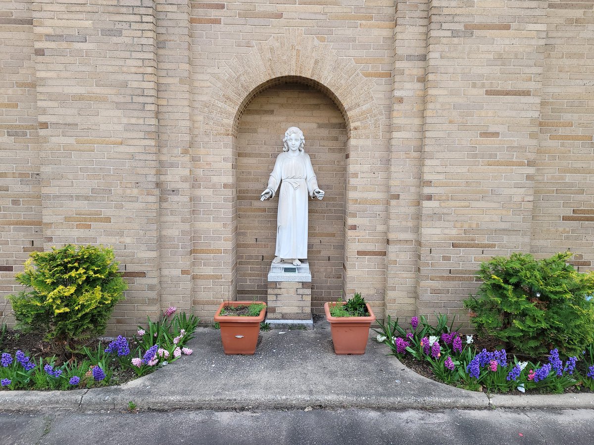 SmcsPrincipal's tweet image. SMCS... beautifying Riverdale since 1911! #smcs #catholicschools #doingitbetter