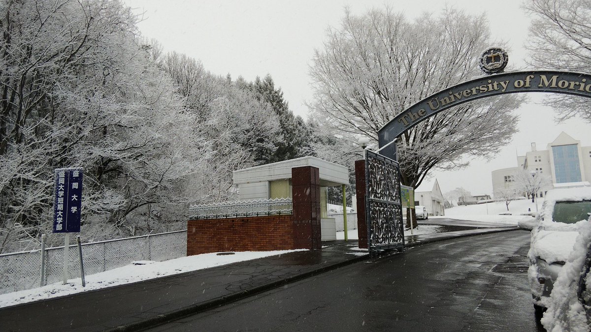 予報どおりに雪か！#morioka