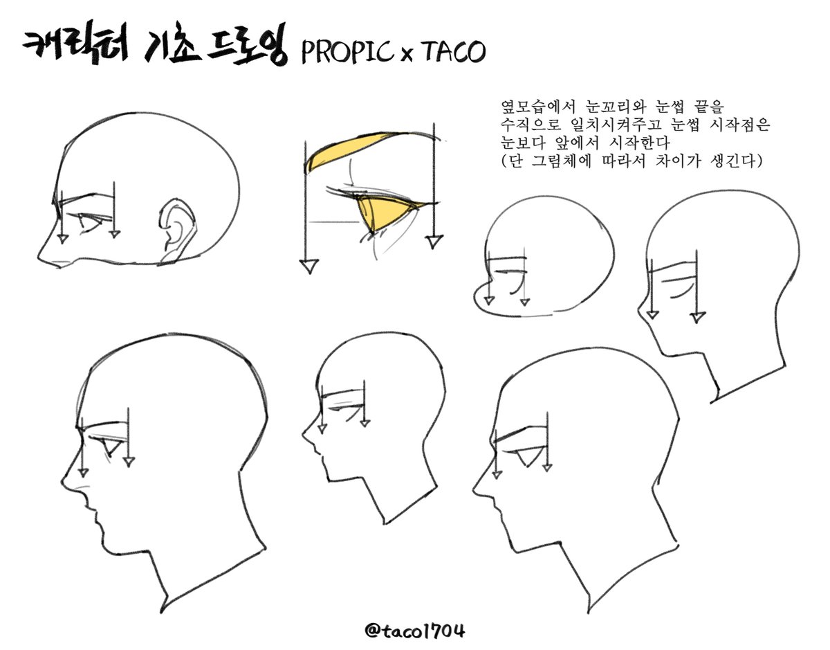 옆모습에서 눈꼬리와 눈썹 끝을 수직으로 일치시키고 눈썹 시작점은 눈보다 앞에 그려준다 (그림체 차이가 있음) 