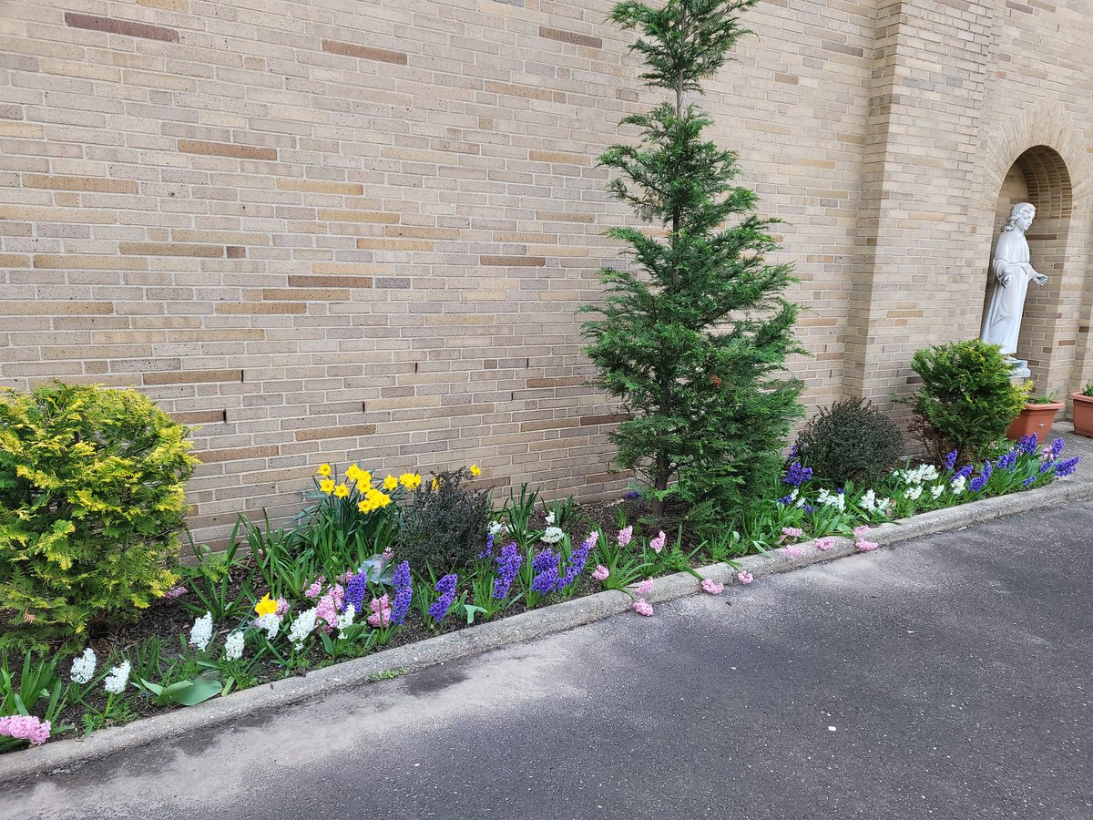 SmcsPrincipal's tweet image. SMCS... beautifying Riverdale since 1911! #smcs #catholicschools #doingitbetter