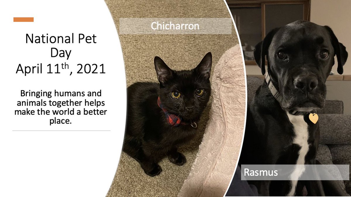 Berkeley Air tweet media