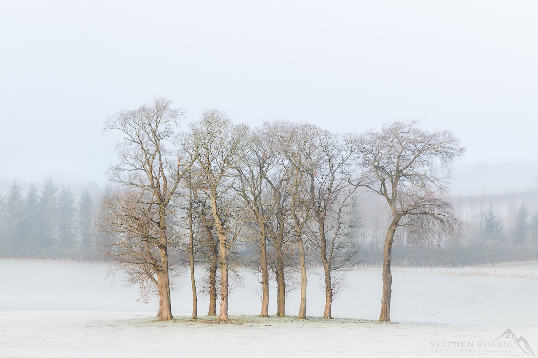 So, this is exciting. I can share that I am the Overall Runner Up in this years Scottish Landscape Photographer of the Year. I can’t really believe it but what a thrill!
Congratulations to @ShutrRelease this years winner and to all the winners!
#slpoty slpoty.co.uk