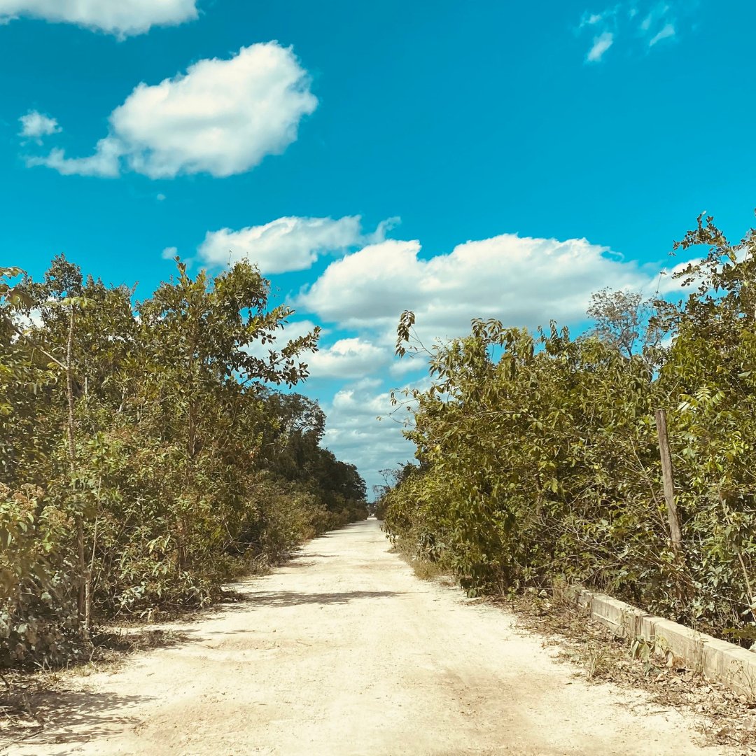 CrownPubCo's tweet photo. #afromation
I am willing to forgive myself for believing what he did was ever my fault. Today I travel the road less stained with fear and regret. I travel the road of healing and renewal.
______________________________
Follow. Like. Share. #Subscribe
@crownpublicationsco (Inst https://t.co/bMh0havF8u