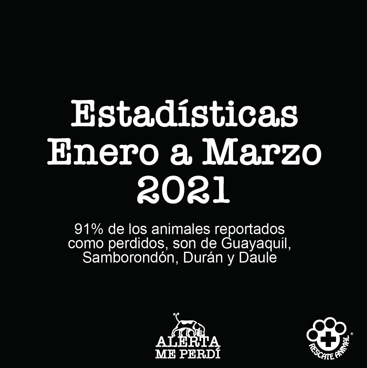RescateAnimalEC's tweet photo. Hemos levantado estadísticas con @AlertaMePerdi respecto a la cantidad de animales extraviados en la ciudad, vamos a presentar importantes datos que corresponden al 1er. trimestre del año. El 91% de los reportes son de Guayaquil, Samborondón, Durán y Daule. #PonlePlaca https://t.co/mHdhkMTFWh