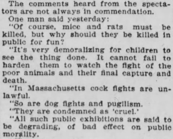 Most stories mention the city feeding them steak once per week. But a few reports — like the one in the Post — described how residents loved to toss in rodents, biscuits(?!) and frogs. This, of course, didn't sit well with everyone.  (These from the  #Boston Globe & the Post)