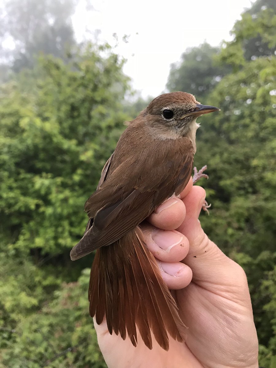 AW Coast & Country tweet media