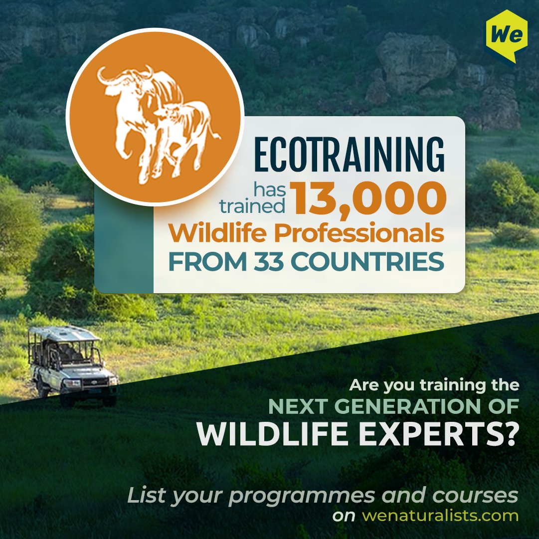 @EcoTraining is the pioneer and leader in #safariguide & #wildlifetraining in Africa.
If you're an organization working in nature, join WeNaturalists.com & expand your reach.
#WeNaturalists #Ecosystem #EcoTraining #Africa #WildlifeTrainers #Naturalist #WildlifeProfessionals