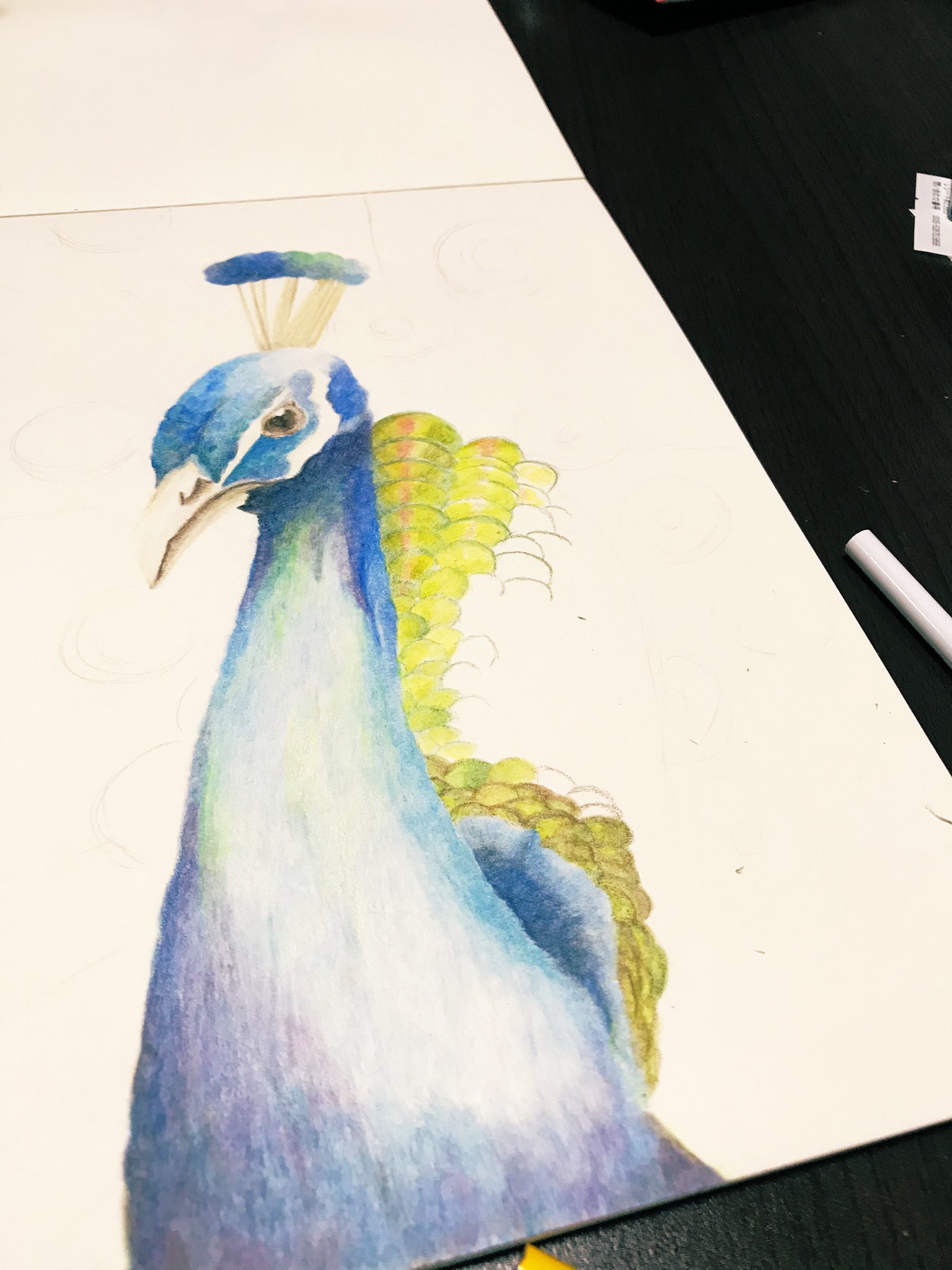 Nokonoko ぐふぅ クジャク 色鉛筆 イラスト 絵 イラスト好きな人と繋がりたい 絵描きさんと繋がりたい みんなで楽しむtwitter展覧会 T Co Lfe9sqisyg Twitter Nokonoko ぐふぅ クジャク 色鉛筆 イラスト 絵 イラスト好きな人と繋がりたい 絵描きさんと繋がりたい みんなで楽しむtwitter展覧会 T Co Lfe9sqisyg Twitter