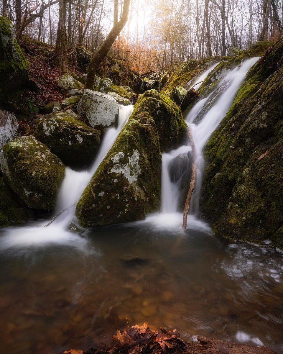Plan your trip today for a great @mostatepark stay. 
bit.ly/2R2SNDr
— Mo #ThatsMyMO

📍: Sam A. Baker State Park
📸: forestwyrm on Instagram