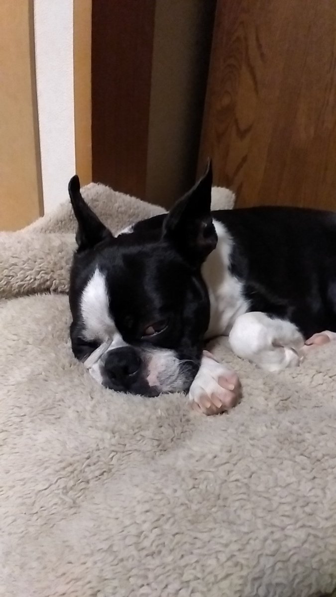 ココナッツオイルプリング