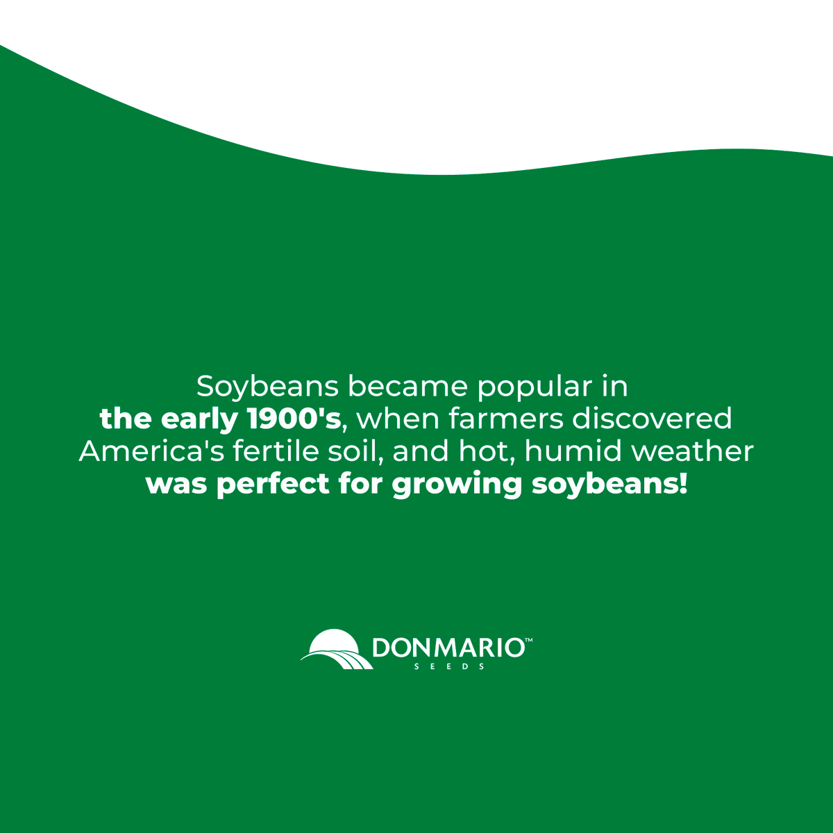 donmarioseeds's tweet photo. 👉 Swipe right to learn a little about the history of soybeans in the U.S.! 

#DONMARIOSeeds #SeriousAboutSoybeans #exclusivegenetics #soybeans #plant21 #farming #ag #USA #history https://t.co/VZiTB0IfEb