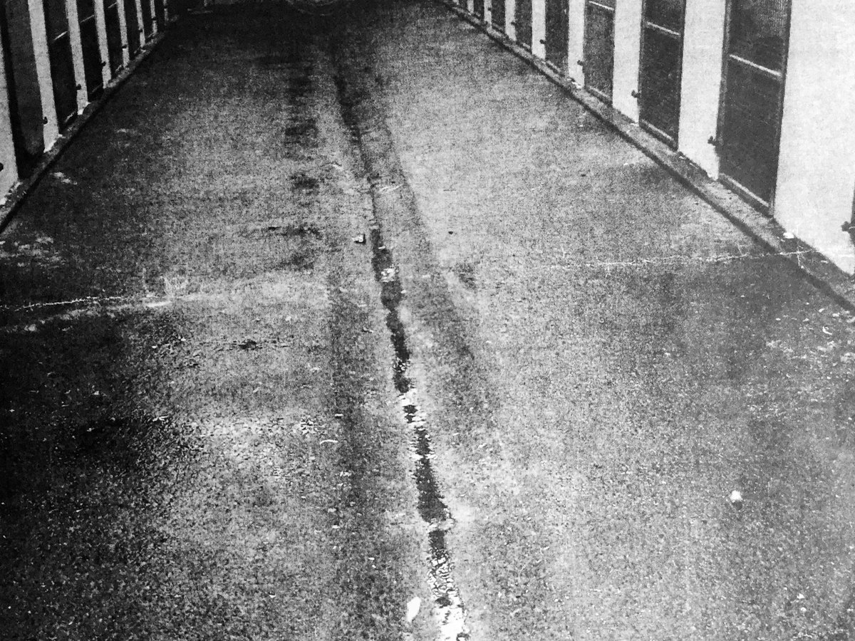 This is an example of what is classed as an excellent puppy farm. The vet report said on inspection. High standards of welfare and care.24 kennels. 12 with small runs and 12 with no runs.
If this is one of the best what is the worst? Looks like a prison! 70 dogs all together