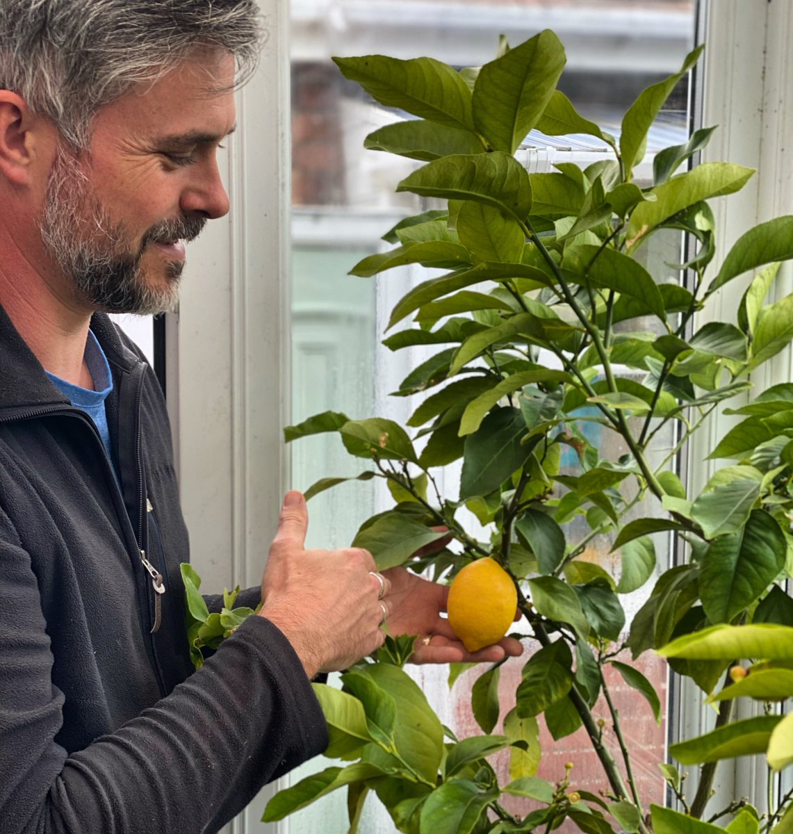 RobsAllotment photo