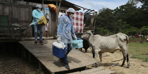 Limportant_fr's tweet image. Covid19. Près de 92 nouvelles souches du coronavirus ont été identifiées, faisant du Brésil une gigantesque usine à variants limportant.fr/infos-covid-19… #Covid19