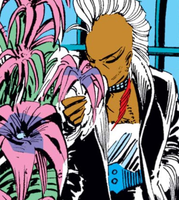 This era of Claremont's storytelling is greatly elevated by its artists, and John Romita Jr. was an excellent way to follow up on Paul Smith's character-redefining time on the run.Since swapping out her attic-greenhouse for a colder vibe better suited to her punk look, Ororo...