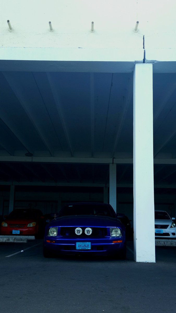nestofrmnics's tweet photo. Im right here in yo city 🌁

#S197 #fordmustang #stanggang #spot #spotted #muscledaily #mustangdriver #mustangnation #stangnation #stangers #fordmustang #musclecars #americanmuscle #5thgen #classic https://t.co/HO4UuoCfSv