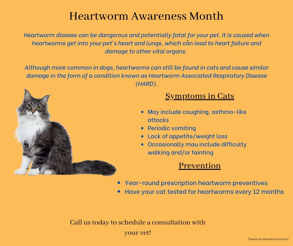 🚨🚨 It’s #nationalheartwormawarenessmonth 🚨🚨 Heartworm is a ☠️ disease, but can be prevented ! Call to schedule an appointment and learn more regarding heartworm prevention! (818-888-8111) westhillsanimalhospital.net
.
#westhillsanimalhospital #WHAH #WHAHcares #heartwormprevention