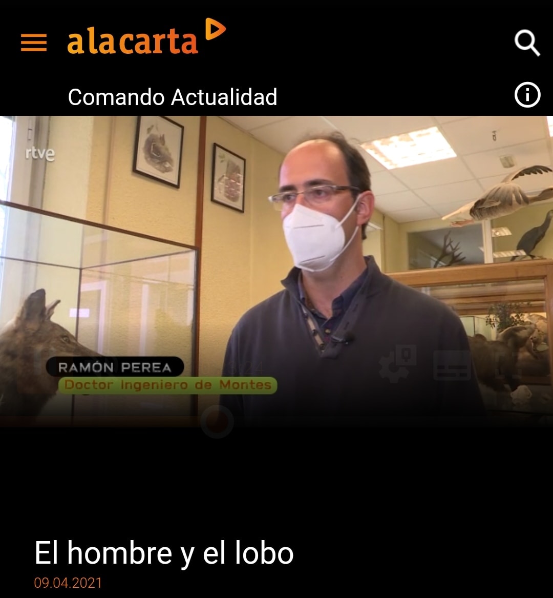 MontesUPM's tweet image. El Dr. D. Ramón Perea, profesor e investigador en @montes_mnatural, ha participado en el programa COMANDO ACTUALIDAD de la 1 de @rtve con titulo EL HOMBRE Y EL LOBO que se ha emitido recientemente.
+info: rtve.es/alacarta/video…
#somosUPM #etsimfmn #montesupm
