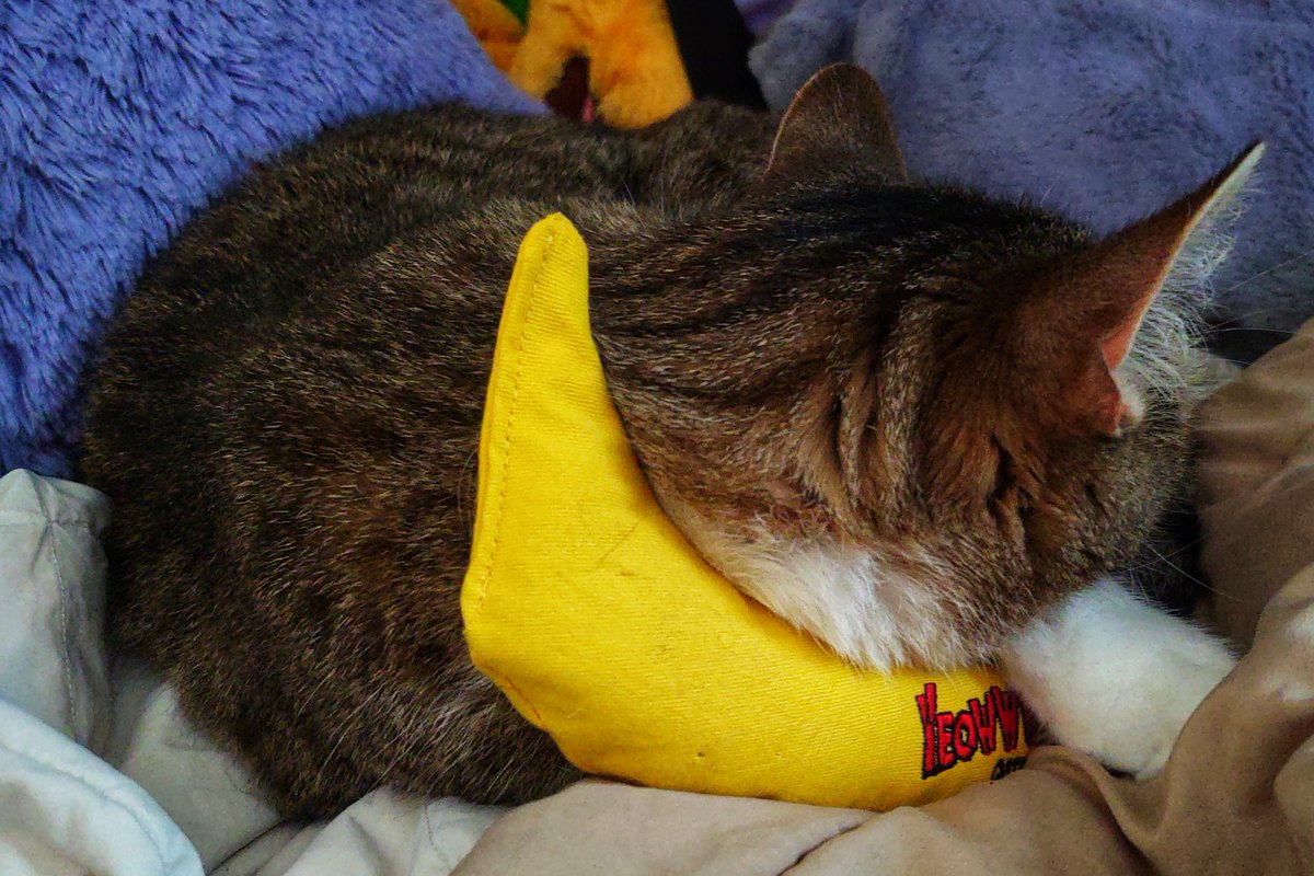Pinktoebean's tweet image. I love my @YeowwwCatnip banana 🍌