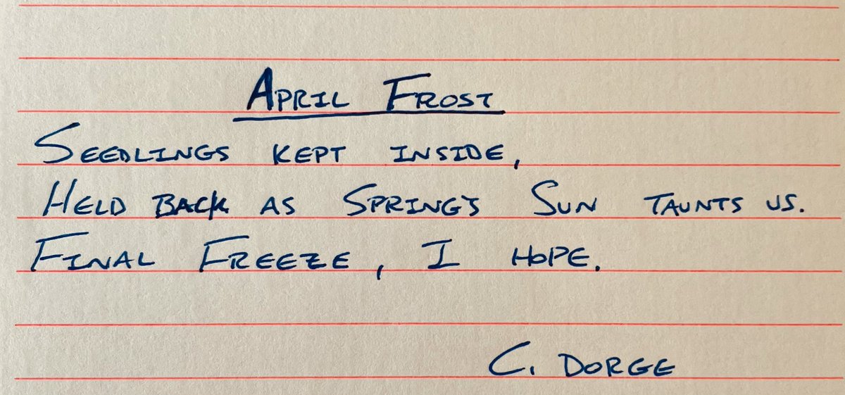 April Frost - Seedlings kept inside,Held back as Spring's sun taunts us.Final freeze, I hope.  #haiku - 3