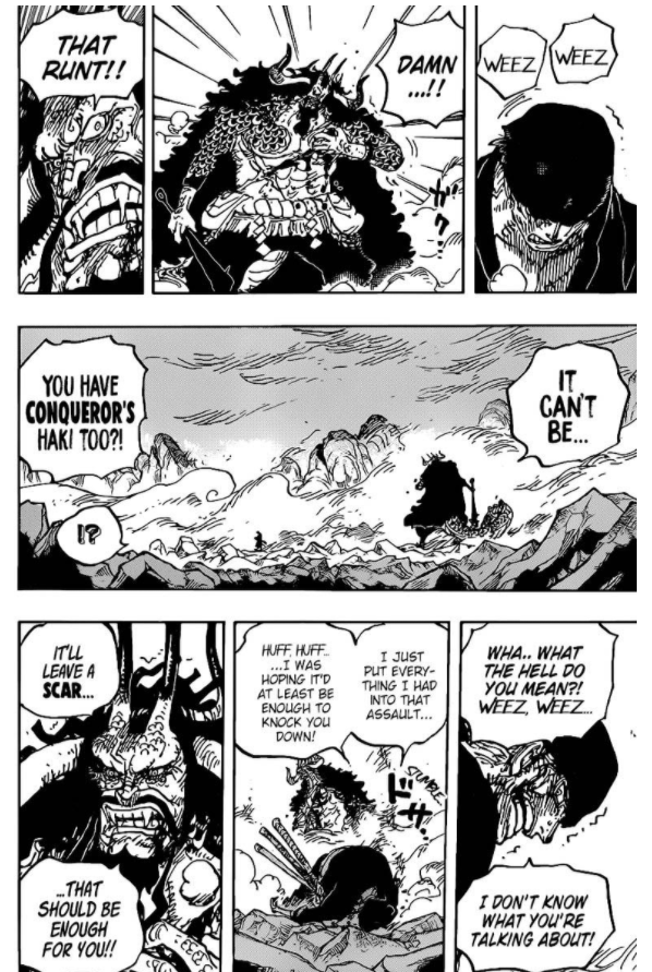 Raymond Dwipa on Twitter: "YASSSS CAPTAINNNNNNN!!!!merinding baca chapter baruuuuu aaaaaaa!!!!!!! #ONEPIECE1010… "