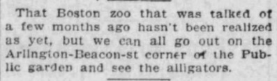Hubbub about the 'gators mostly to happened around 1901. But a small blurb in 1906 did indicate they were still in the Garden then, too, but maybe moved. And a second story said they'd been there at least 3 summers. Doogue died in 1906, so who knows where they went... *End Rant*