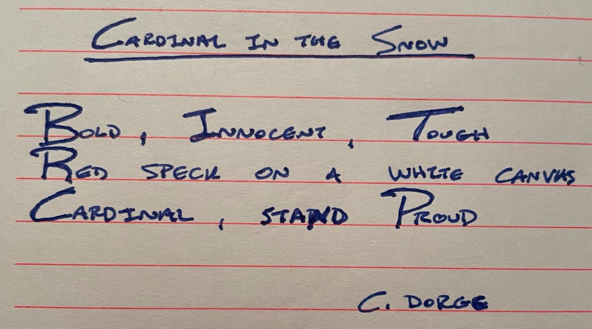 Cardinal in the Snow - Bold, innocent, toughRed speck on a white canvas.Cardinal, stand proud. #haiku - 7