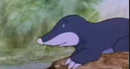 Chris Almeida tweet media