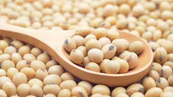 IntlFood's tweet image. Daily Dash from IFPC
Argentine farmers are shrugging off high soy prices and hanging onto all the beans they can this season in a bid to avoid exposure to the anemic peso currency.
For the complete story, visit ow.ly/Lpl550E0cQk
#IFPC #ingredientnews #DailyMarketReport