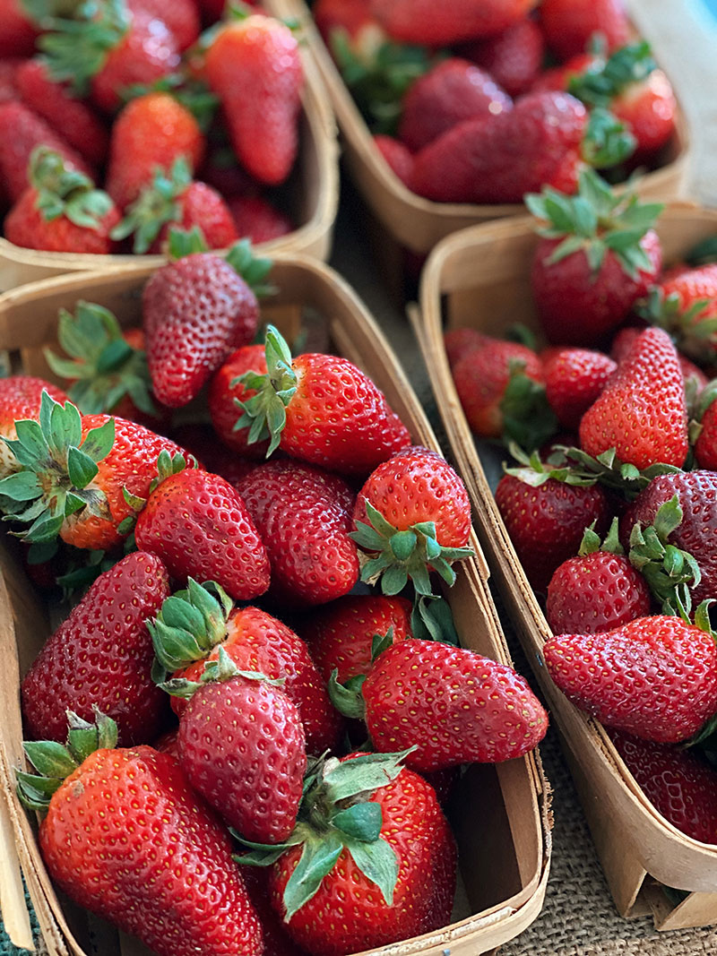 DallasFarmer's tweet photo. Sweet Texas Strawberries are Here 🍓 - https://t.co/YyrcolW7hm https://t.co/vWCsjss81Q
