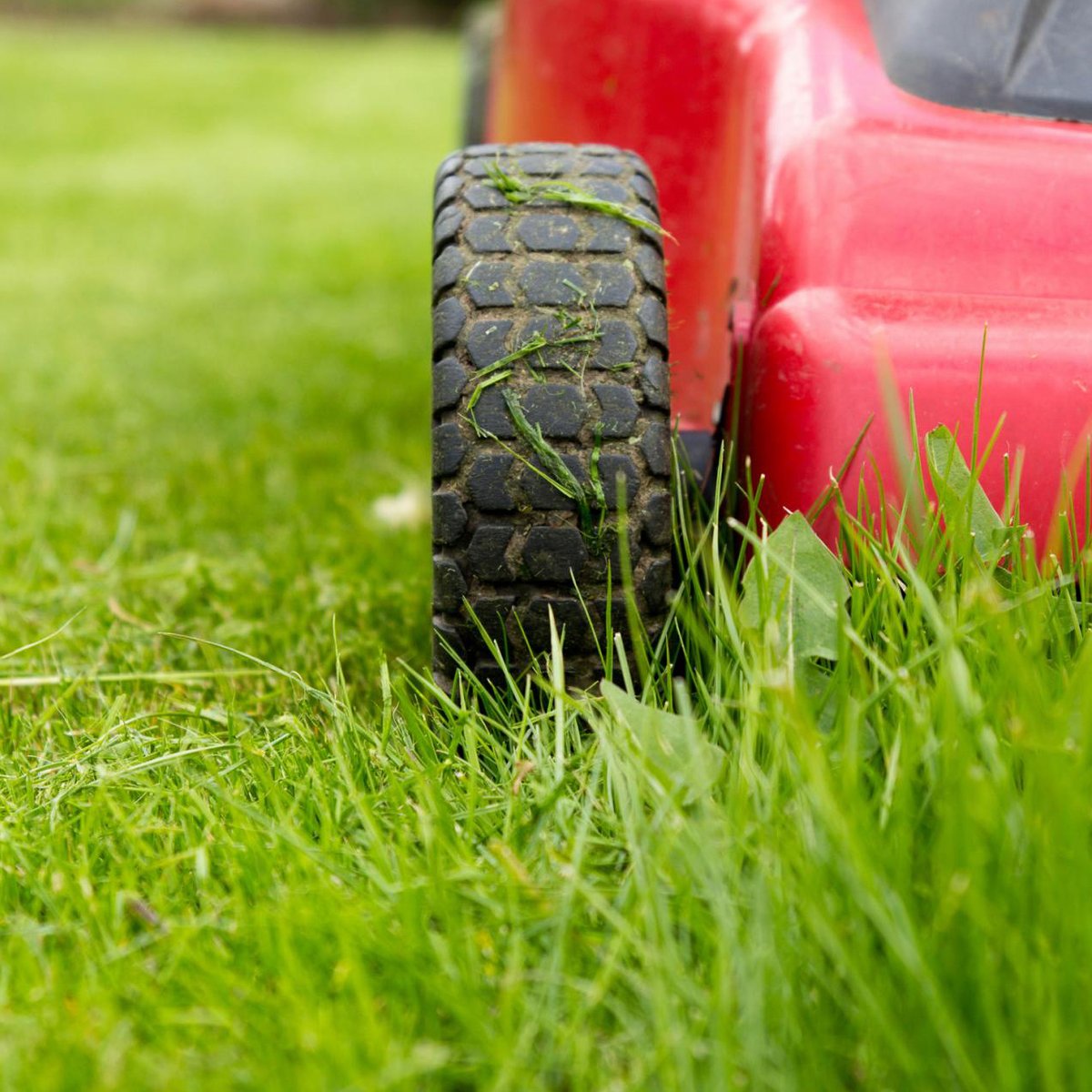 Is your lawn not quite as lush as your neighbors? Irrigation, fertilization, mowing height, and disease management are just some of the factors that can impact the health of your turf; and our team has the knowledge to help your lawn thrive. Call (972) 481-9565 today.